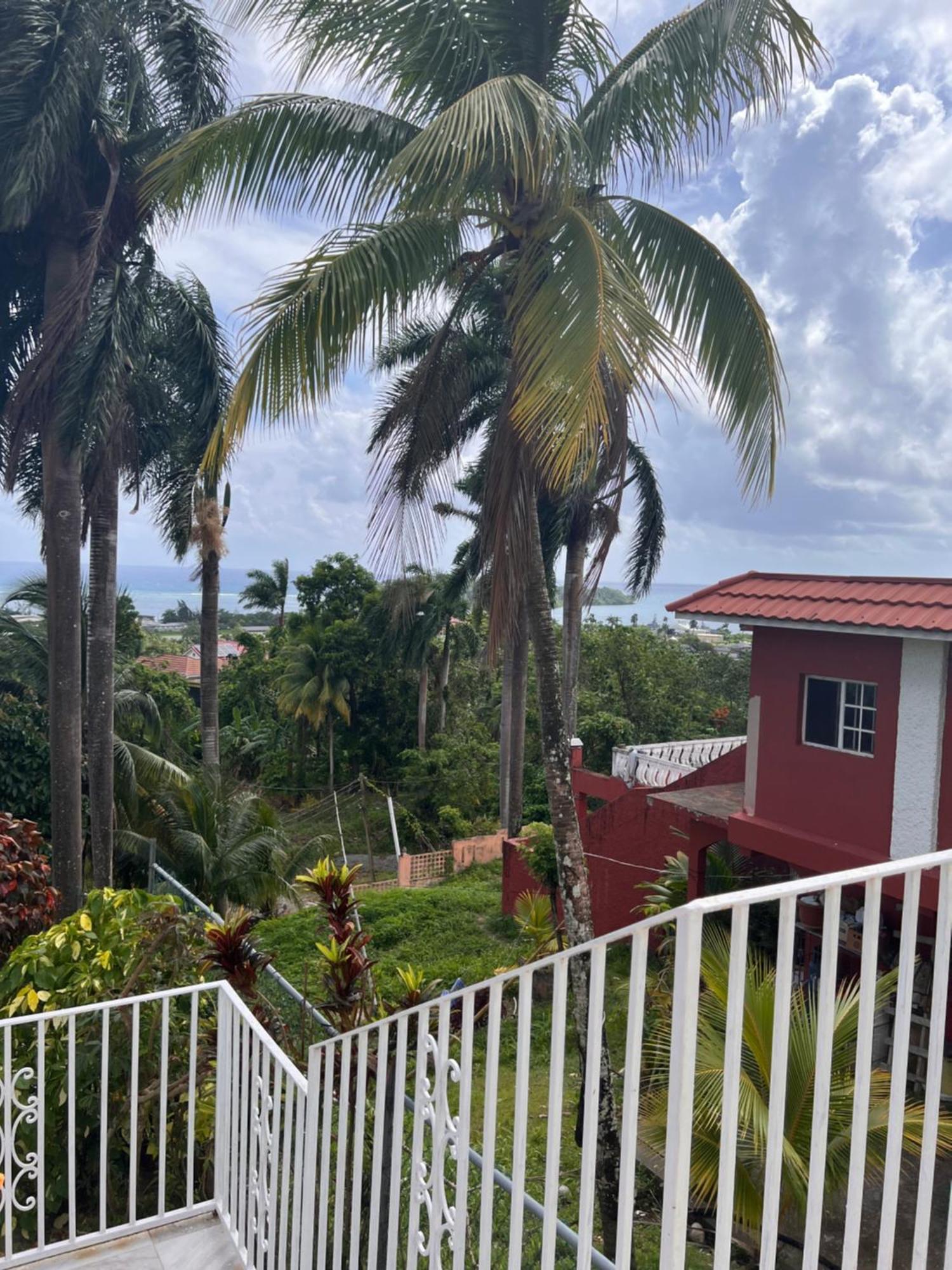 Hotel Angelaspalace Port Antonio Exterior foto