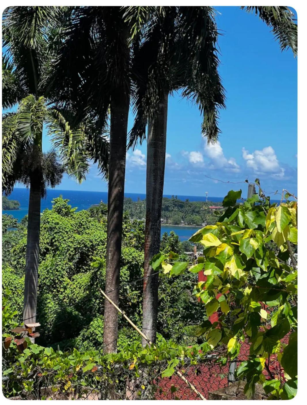 Hotel Angelaspalace Port Antonio Exterior foto